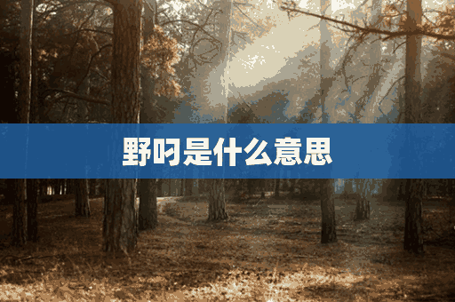 野叼是什么意思